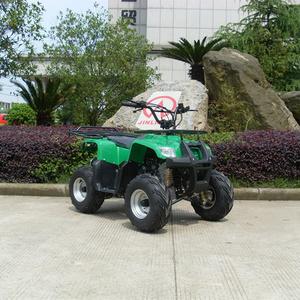 Jinling ATV, good quality 110cc mini JEEPS for kids