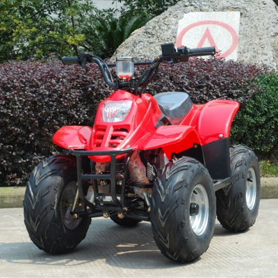 kids atv 50cc 110cc 4 Wheeler Atv For Adults Atv With Epa Hummer Automatic chain 125cc Racing Motorcycles