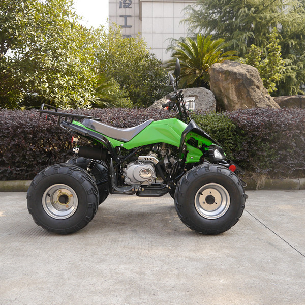 Jinling USA Market Cheap Price 110cc Mini Atv For Sale With EPA Certificate