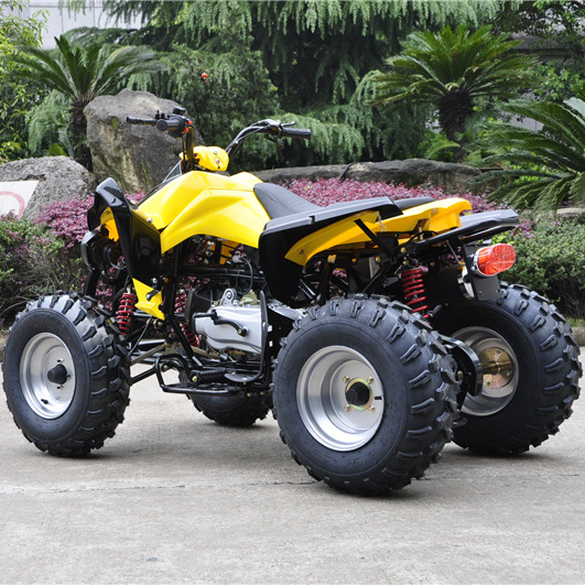 jinling cheap mini 110/125CC automatic reverse gear atvs  quad bike ATV