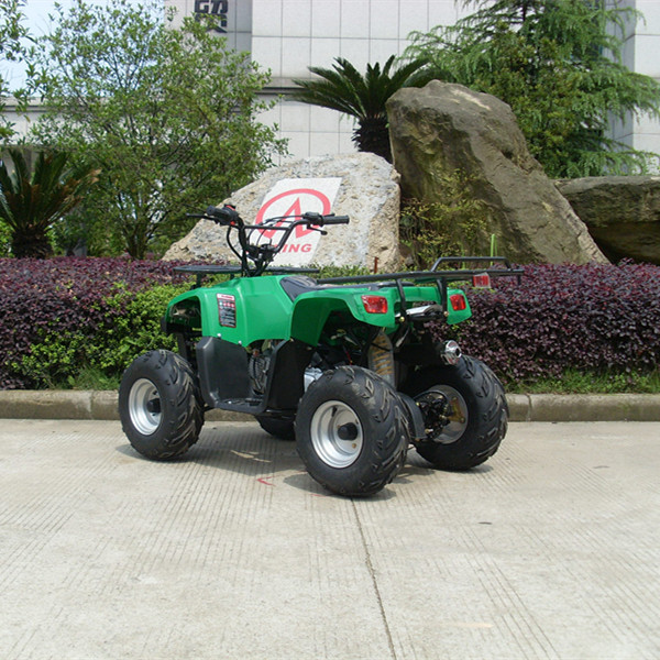 Jinling ATV, good quality 110cc mini JEEPS for kids