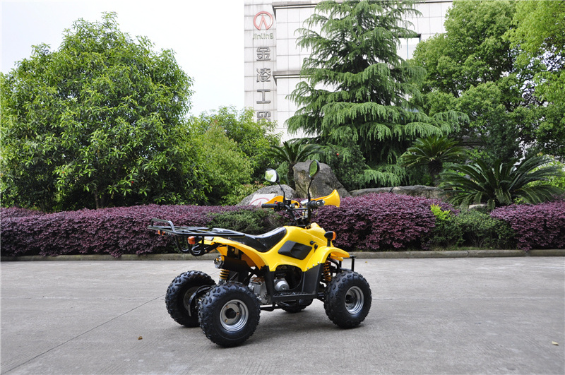 mini 50cc gas atv 4 Wheel  trike For kids