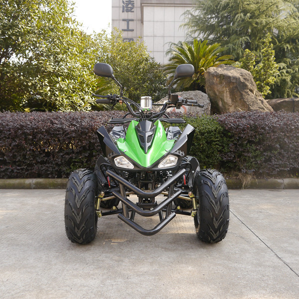 Jinling USA Market Cheap Price 110cc Mini Atv For Sale With EPA Certificate