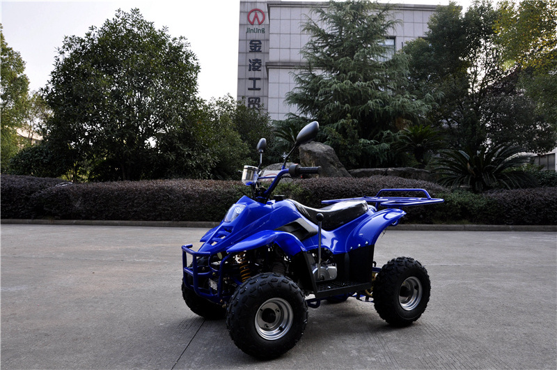 small 50cc gasoline blue color atv 4 Wheel  bike