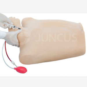 Stimulation model of central venipuncture and catheterization