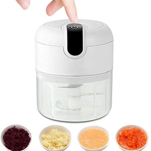 Food Processor Garlic Olives Vegetables Pepper Spices Meat Baby Food Electric Mini garlic press