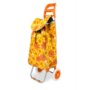 Collapsible Stair-Climbing Shopping Cart for Elderly Grocery Shopping