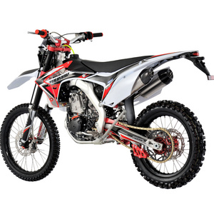 Customization Motocross 250cc Automatic Enduro Motorcycle 4-Stroke Engine Mini Dirt Bike