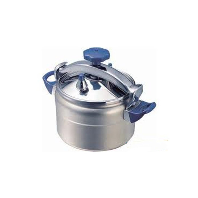 Pressure Cooker Design Popular High Quality Electric Stainless Steel New Light Metal OEM Customized Surface Feature Weight Eco