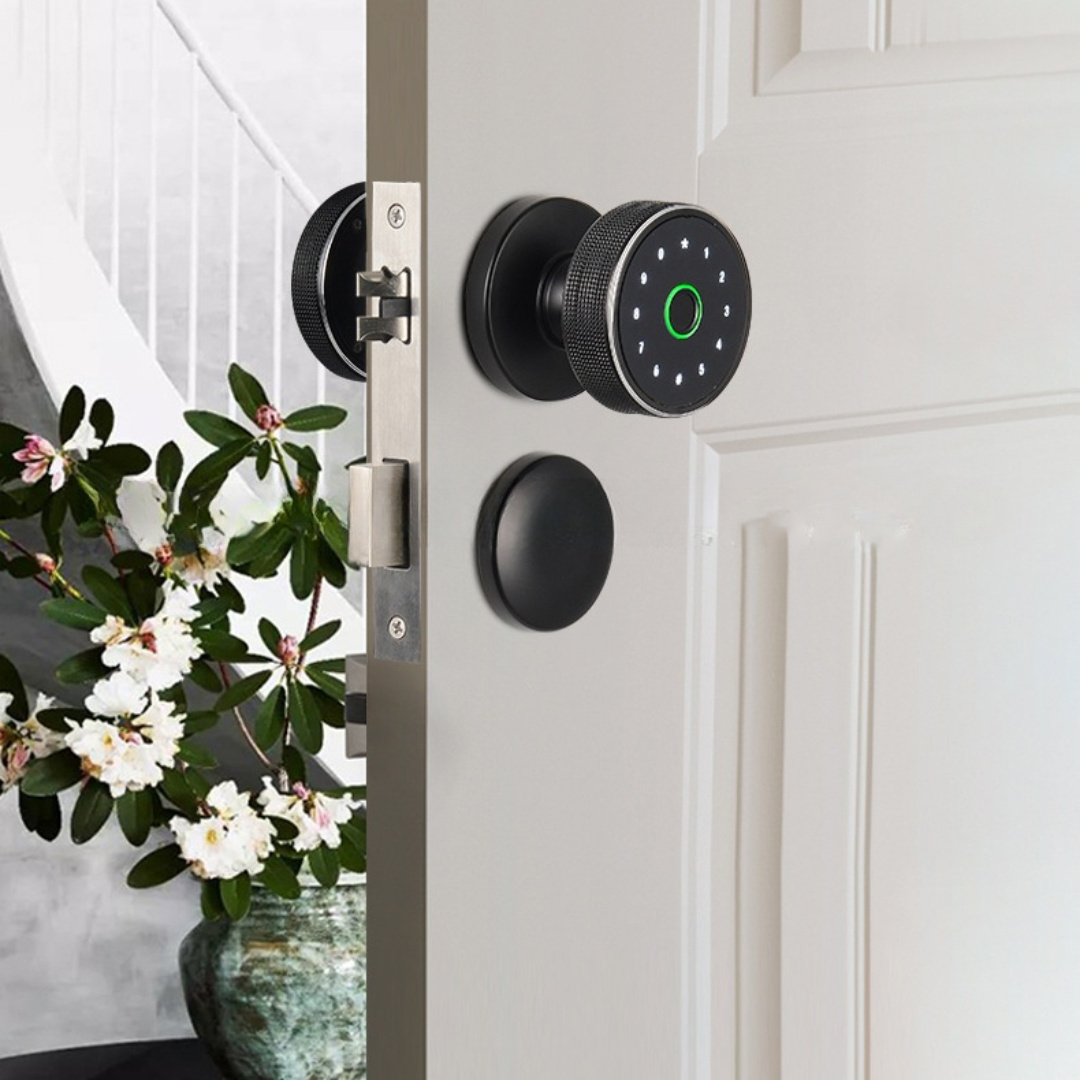 Promotional Price Door Knob and Lock Set Password Smart Fingerprint Door Lock Door Knob with Keypad Keyless