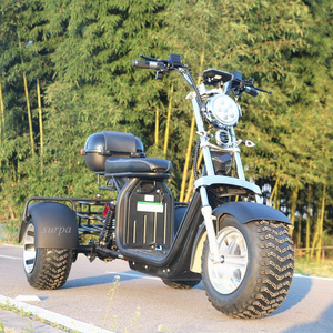 2000w 60v12ah/20ah removable battery citycoco fat tire 	three wheel scooter electric adult/ powerful electric scooter