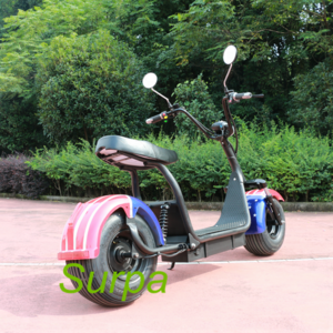 1000w 1500w citycoco front back suspension fat tire self balancing electric scooter/electric motorcycle sidecar