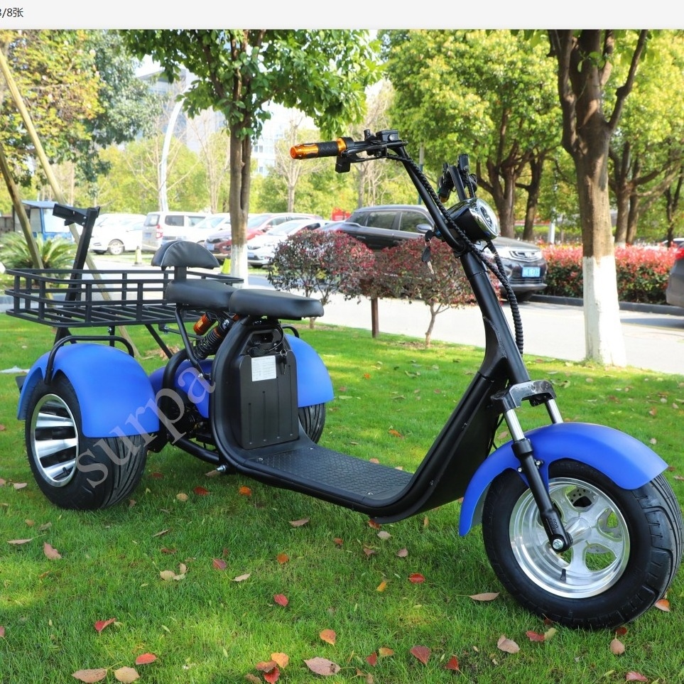 new model 1000w 2000w 60v12AH/20AH li-on battery  adult three wheel  electric scooter with golf bag holder / fat tire golf carts