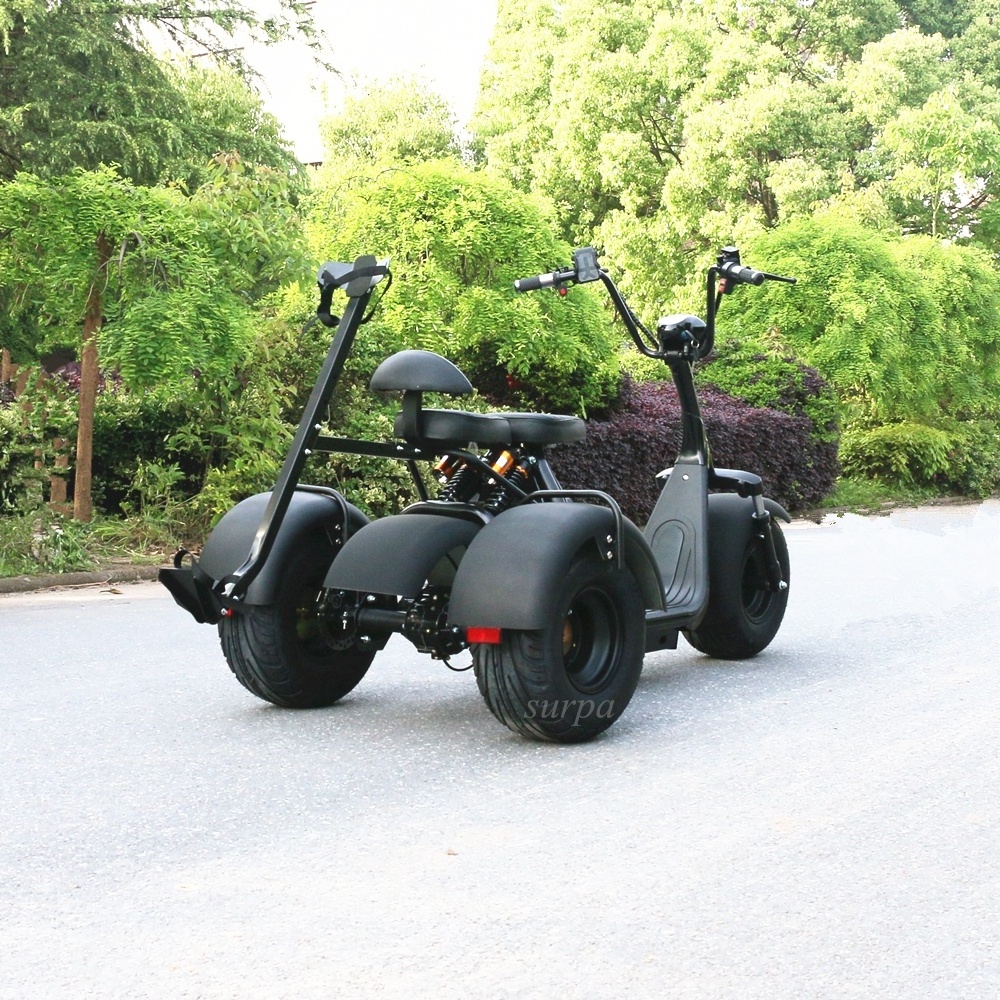 1000w 60v12ah/20ah  2 removable battery three wheel fatboy golf scooter/2000w golf scooter