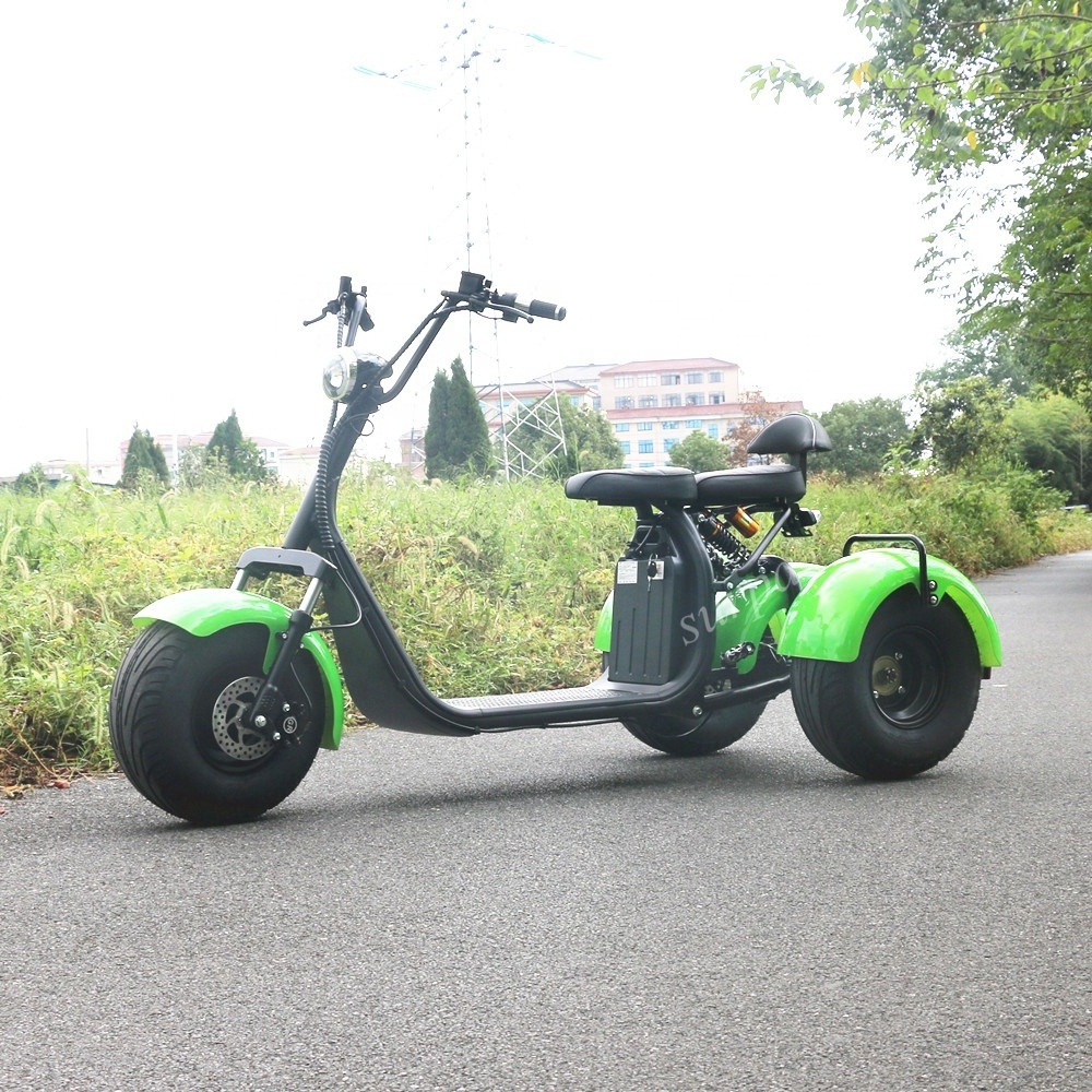 1000w 2000w 60v12ah/20ah lithium battery citycoco electric scooters 3 wheel bike bicycle three with golf bag holder