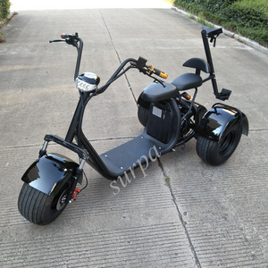 1000w  60v 12ah/ 20ah citycoco  removable  battery  fat tire 3 wheel citycoco off road electric scooter with golf bag holder