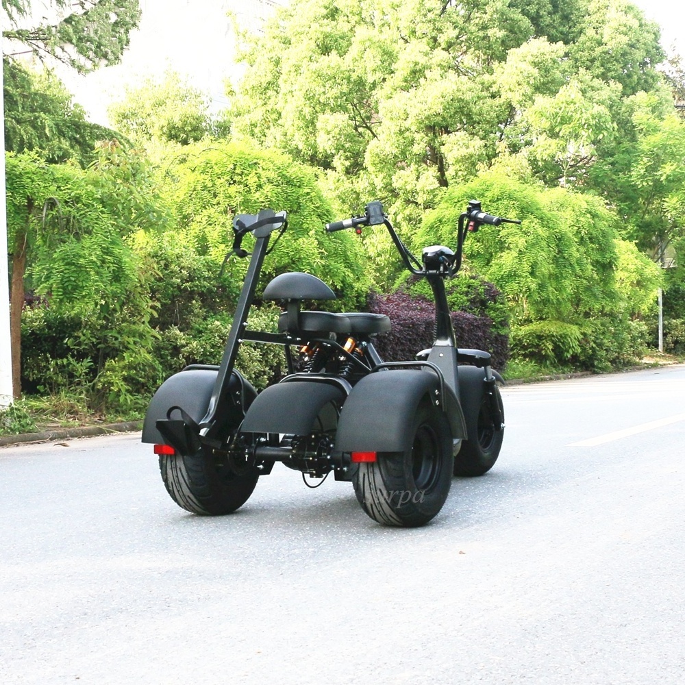 1000w 60v12ah/20ah  2 removable battery three wheel fatboy golf scooter/2000w golf scooter