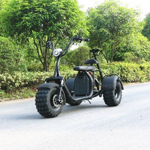 2000w 60v12ah/20ah  2 removable battery citycoco fat tire golf  sand adult 3 wheel electric scooter