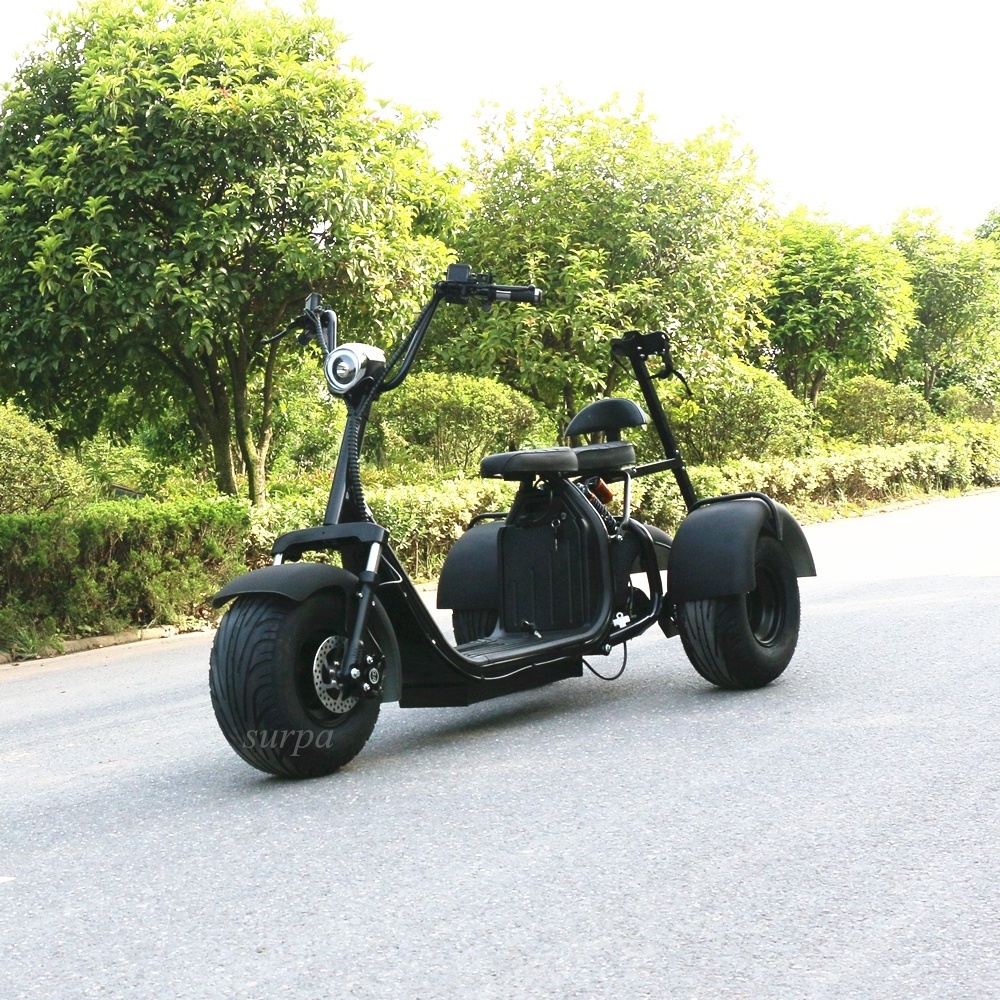 1000w 60v12ah/20ah  2 removable battery three wheel fatboy golf scooter/2000w golf scooter