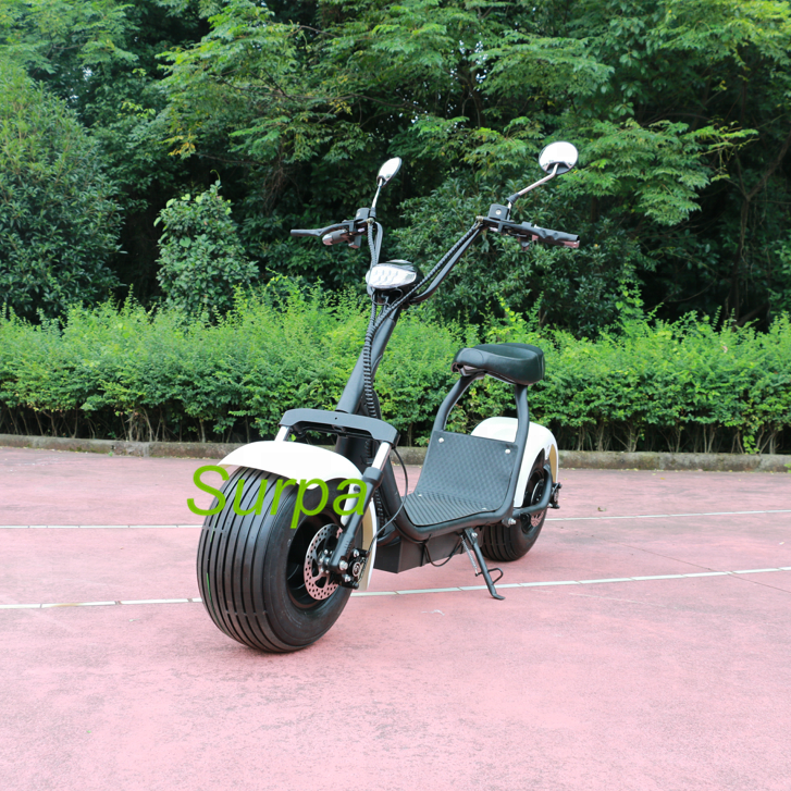 1000w 1500w citycoco front back suspension fat tire self balancing electric scooter/electric motorcycle sidecar