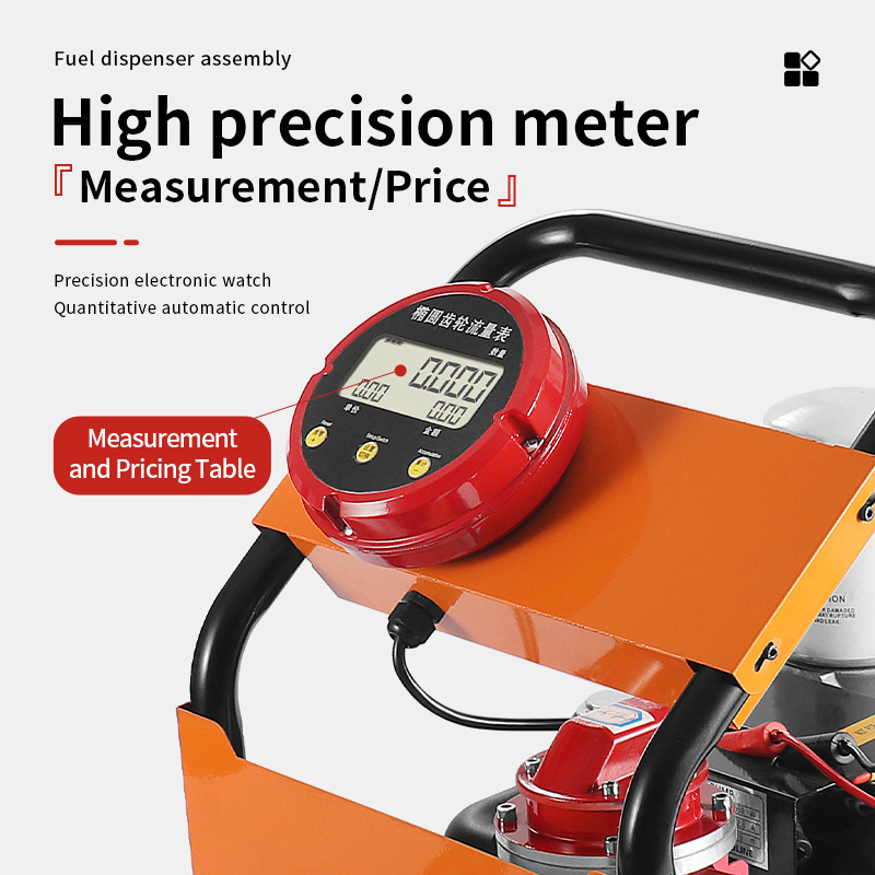 Cavitt Electric Portable Fuel Pump 12V24V Diesel Oil Fuel Pump Set Elliptical Gear Meter And Self-Sealing Gun