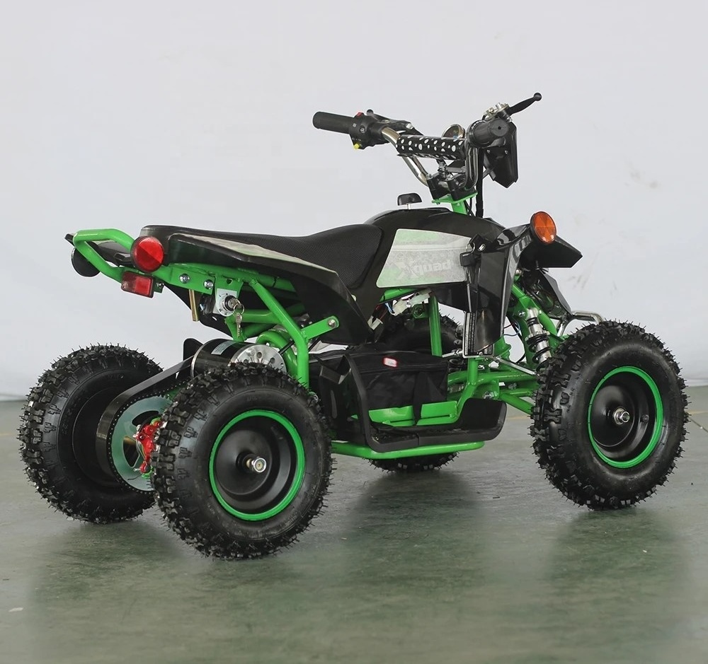 Hot Sale 4 Wheeler Electric ATV 1000w Quad Bike for Kids