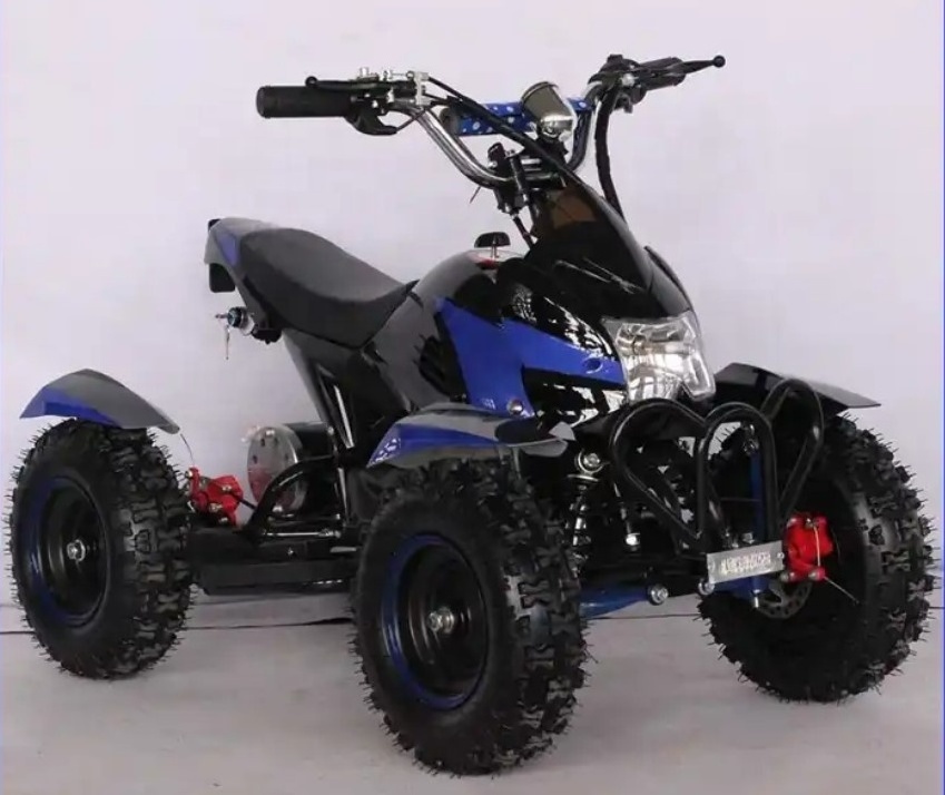 Hot Sale 4 Wheeler Electric ATV 1000w Quad Bike for Kids