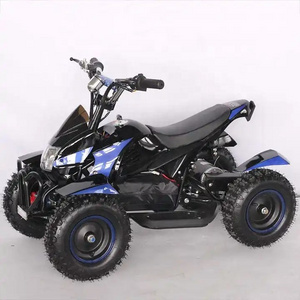 Hot Sale 4 Wheeler Electric ATV 1000w Quad Bike for Kids