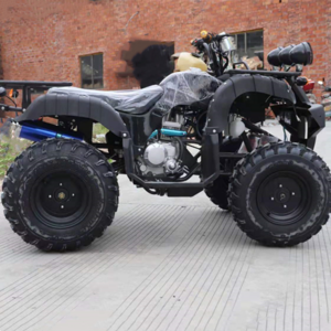 Factory New Utv-Usati Vtt Et Utv 4 Wheeler Willys 3 Wheel Motorcycle 4X4