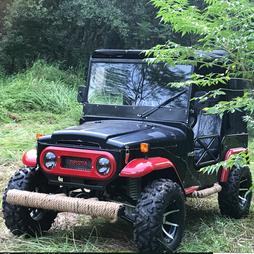 320cc Buggy With 12 Inch Alloy Wheels Reverse CVT 4 Stroke Quad 2 seat 4 seat utv Jeep adult 2*4 4x4 1000cc utv