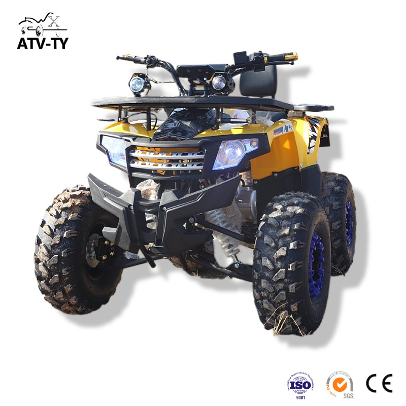 Factory 125 atv good design new arrival Utv-300 Utvs New All-Terrain 2X4 Off-Road Vehicles Atv 125Cc