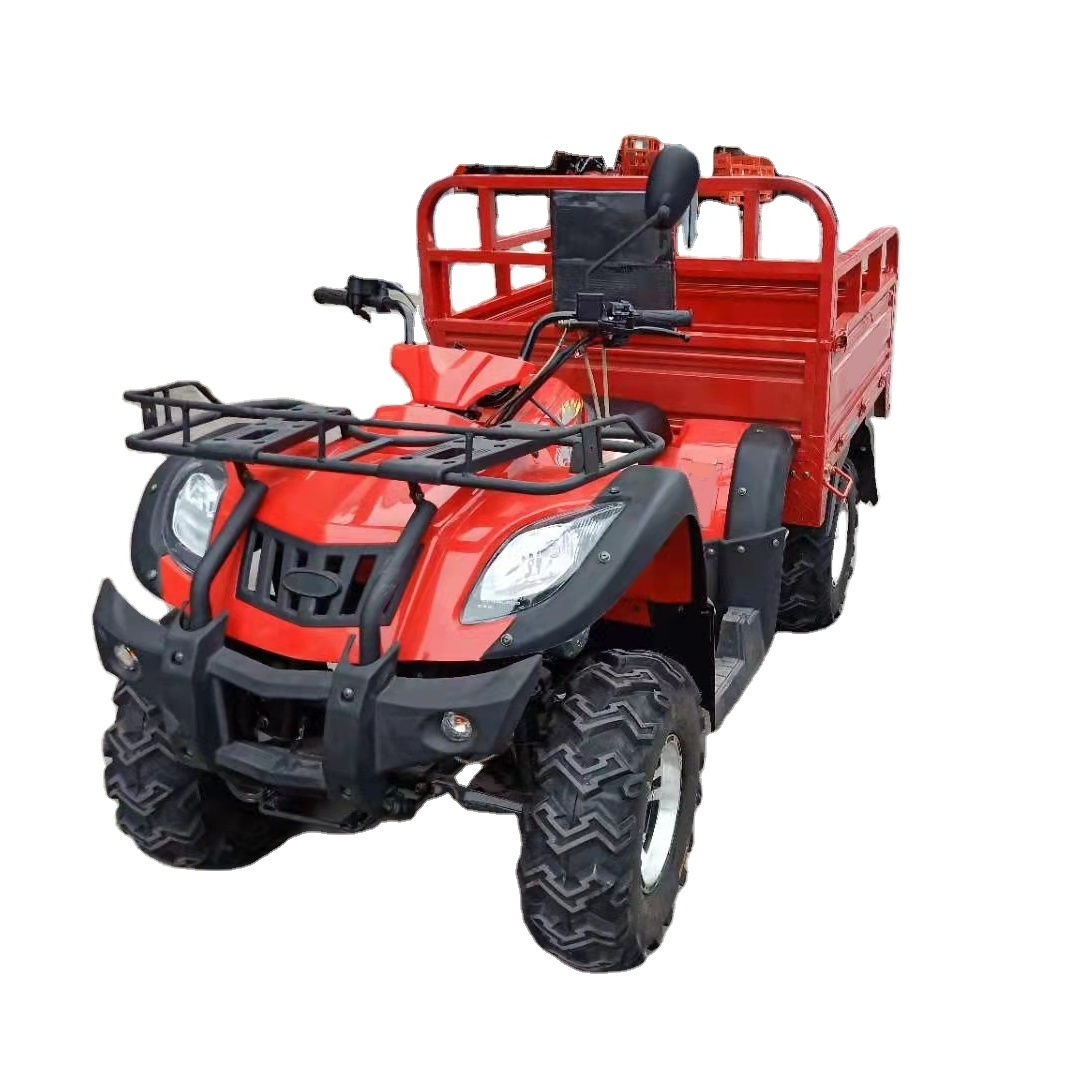 Africa hot selling tricycle heavy loading with powerful engine three wheel motorcycle gasoil motorized tricycle Customized ATV