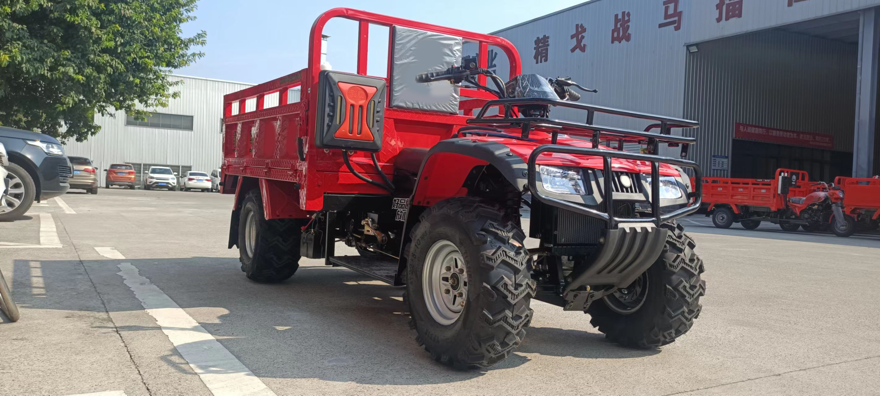 Africa hot selling tricycle heavy loading with powerful engine three wheel motorcycle gasoil motorized tricycle Customized ATV