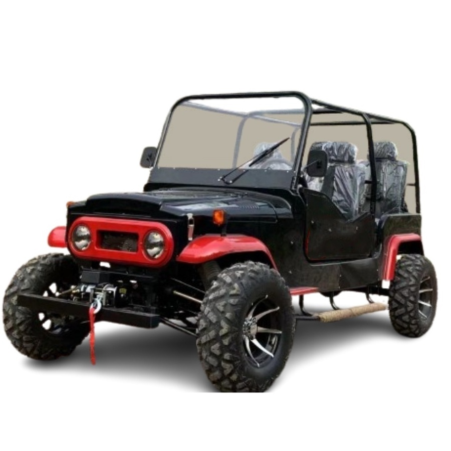 ATV-TY 2024 side by side quad automatic engine 4*4 drive 2 seats buddy 4WD shaft drive 320cc utv off road motorcycle