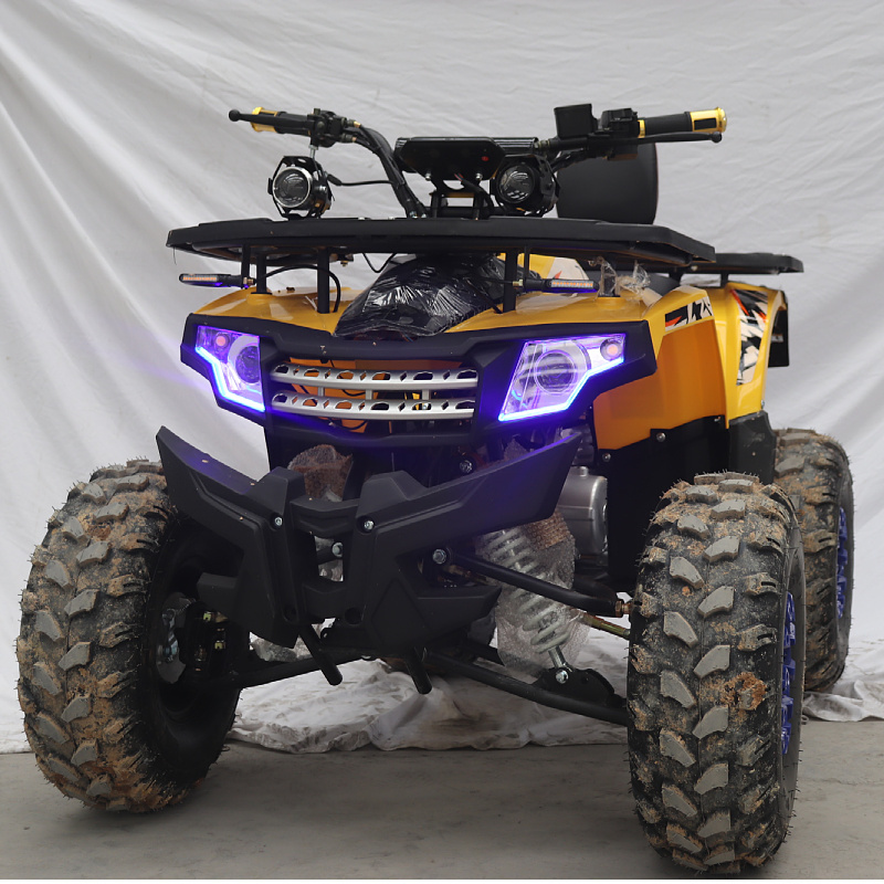 Factory 125 atv good design new arrival Utv-300 Utvs New All-Terrain 2X4 Off-Road Vehicles Atv 125Cc