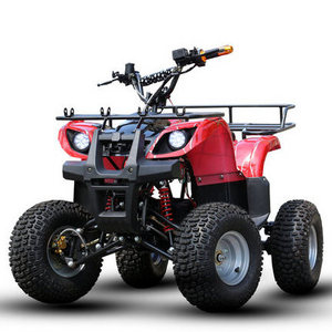 Best Price Buggy Quad 2022 Diesel Disc Harrow Ride On Car Utv Bags ATV 125cc