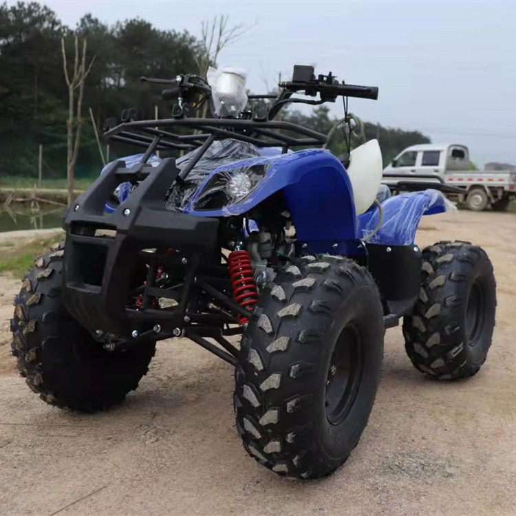 Best Price Buggy Quad 2022 Diesel Disc Harrow Ride On Car Utv Bags ATV 125cc