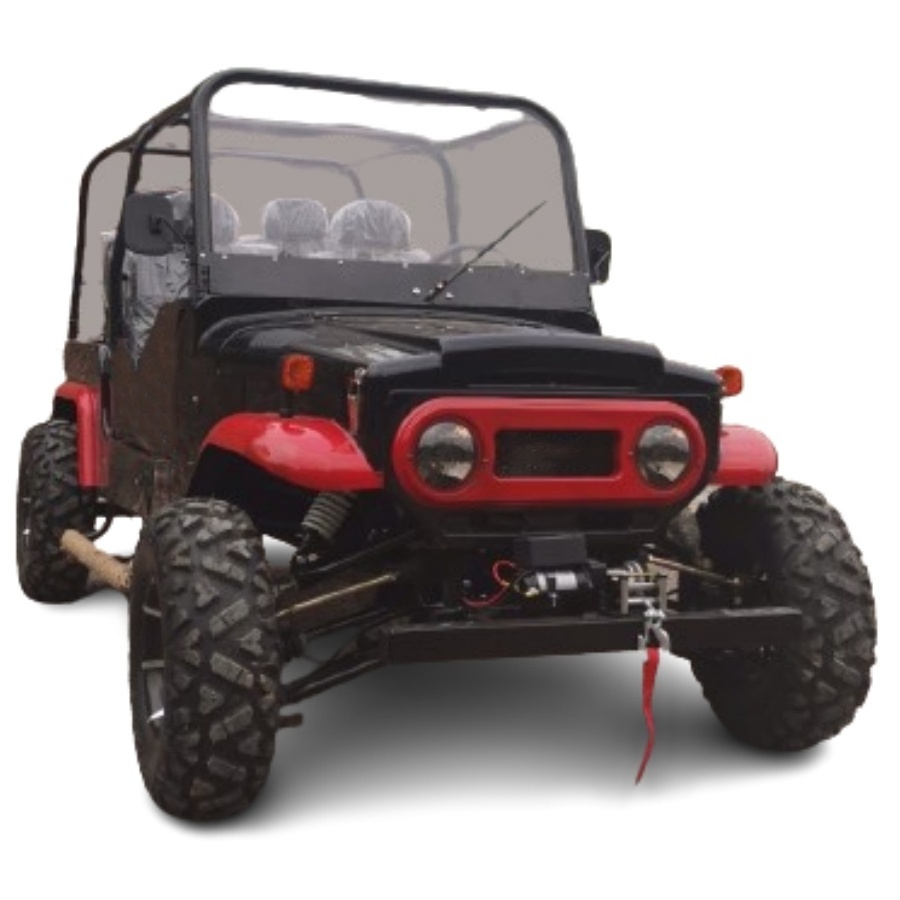 ATV-TY 2024 side by side quad automatic engine 4*4 drive 2 seats buddy 4WD shaft drive 320cc utv off road motorcycle