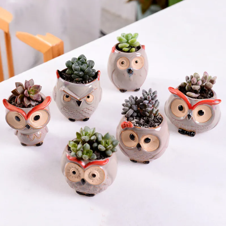 Ceramic Owl Flower Pot Planters Glaze Set Succulent Cactus Plant Container Planter Bonsai Pot