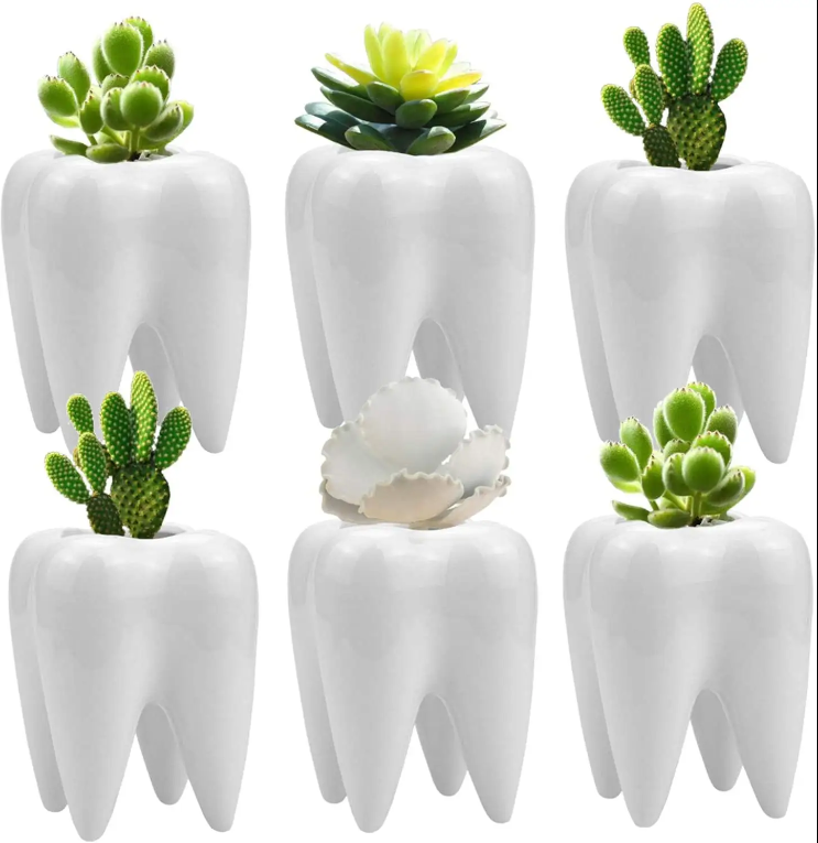 Hot sale Tooth Shape Planter Pot Ceramic Cactus Planter Pot Modern Style Pen Holder Pot For Plant