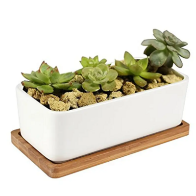 Decorative Garden White Ceramic Succulent Planter Ceramic Cactus Flower Pot Plant Pot with Bamboo Tray (Rectangular)