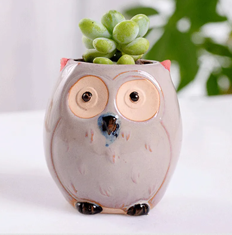 Ceramic Owl Flower Pot Planters Glaze Set Succulent Cactus Plant Container Planter Bonsai Pot