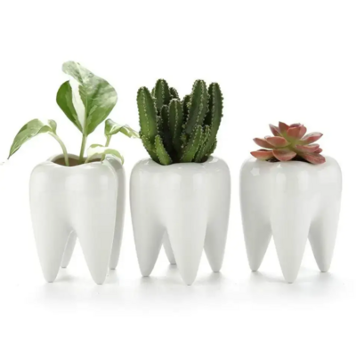 Hot sale Tooth Shape Planter Pot Ceramic Cactus Planter Pot Modern Style Pen Holder Pot For Plant