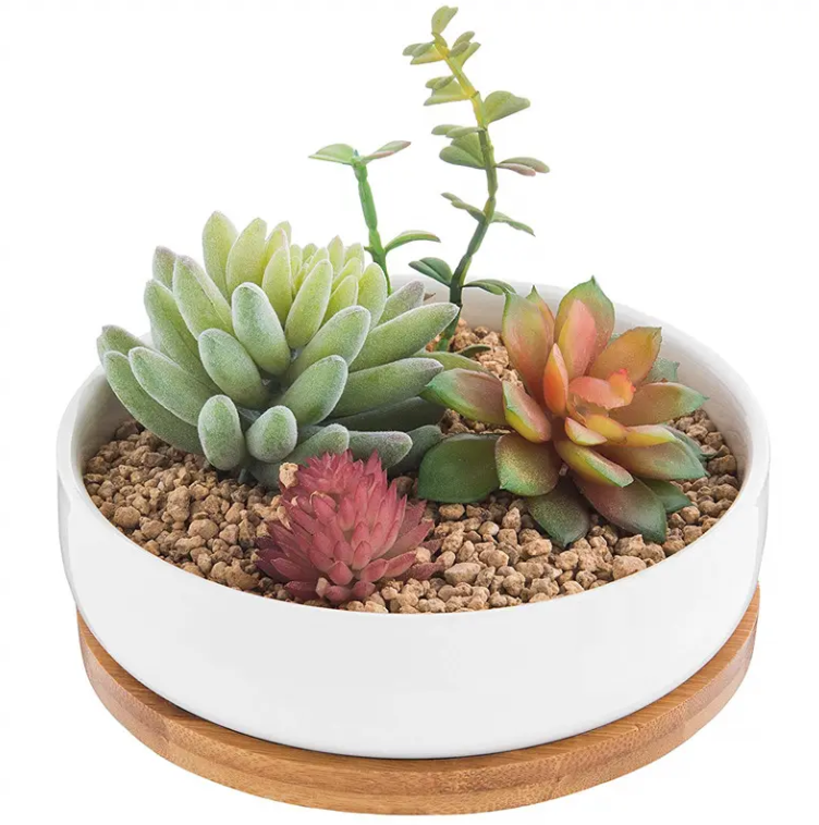 6.2 Inch Modern Decorative Garden Flower Pot Ceramic Pots for Succulent Cactus Plants Pot with Drainage Bamboo Tray