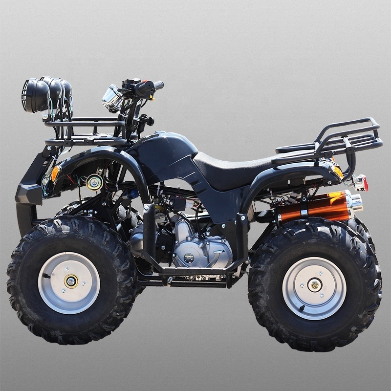 atv 125cc Chinese Professional Gas Powered 125CC ATV Sporty Quad