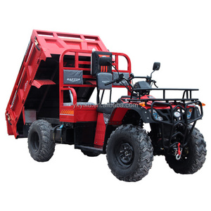 Newest High Quality Buggy for Adult Max Chain Diesel Cylinder Power Torque Tank Engine Shock 250cc 2 Seats UTV 4x4