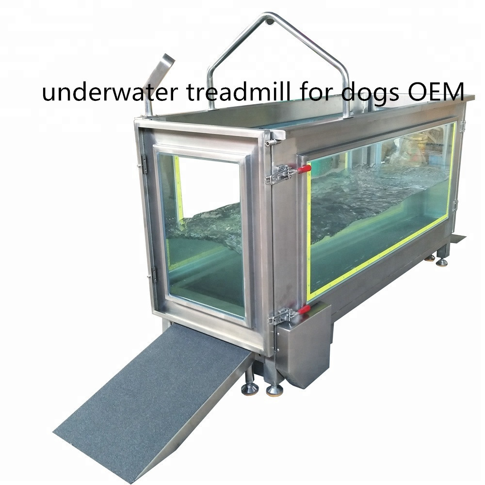 SUS304 underwater treadmill for dogs OEM