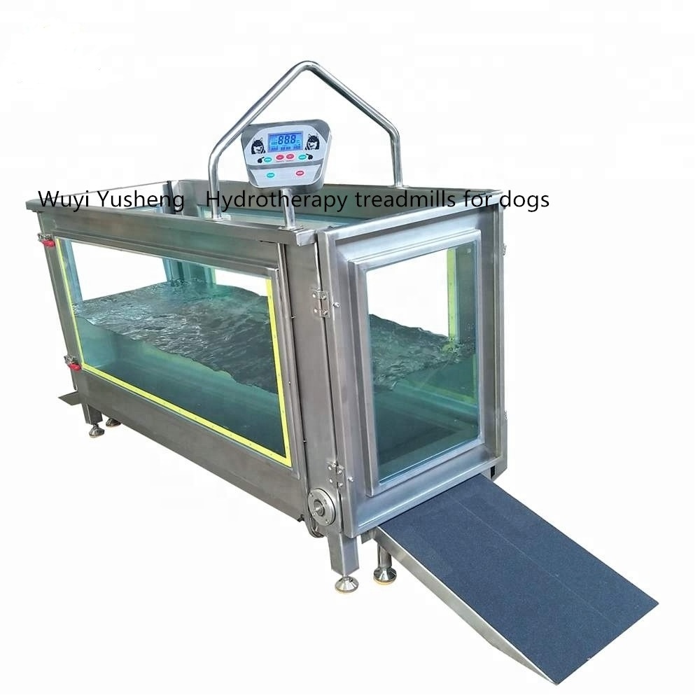 SUS304 underwater treadmill for dogs OEM