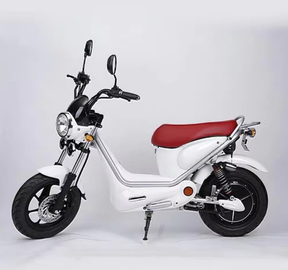 2024 Hot sale three wheel electric motorcycle EEC COC 1000w tricycle bicycle sidecar for adults electric ciytcoco pets scooter