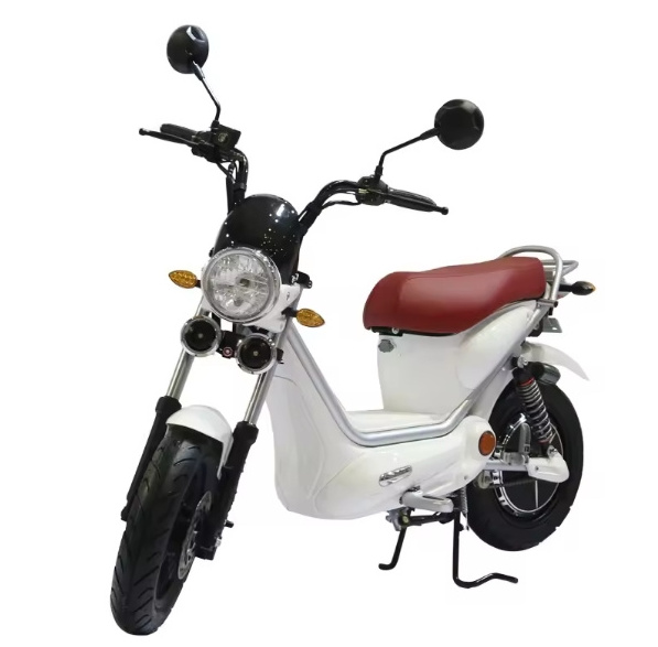 2024 Hot sale three wheel electric motorcycle EEC COC 1000w tricycle bicycle sidecar for adults electric ciytcoco pets scooter